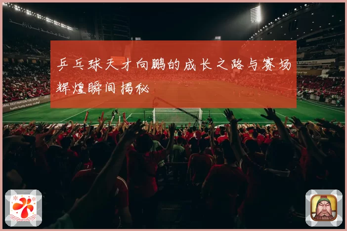 乒乓球天才向鹏的成长之路与赛场辉煌瞬间揭秘