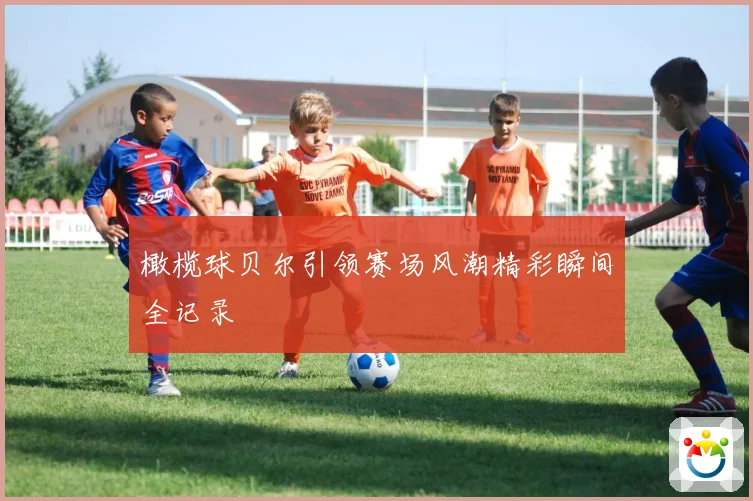 橄榄球贝尔引领赛场风潮精彩瞬间全记录