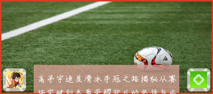 高亭宇速度滑冰夺冠之路揭秘从赛场突破到冬奥荣耀背后的坚持与成长