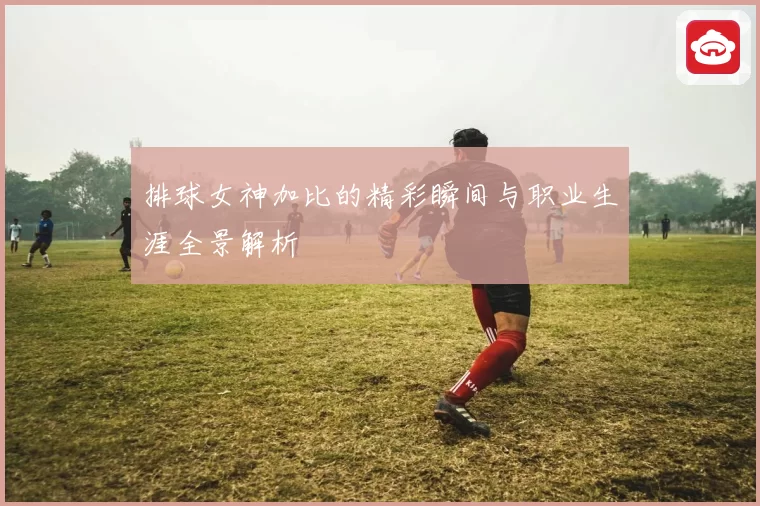 排球女神加比的精彩瞬间与职业生涯全景解析