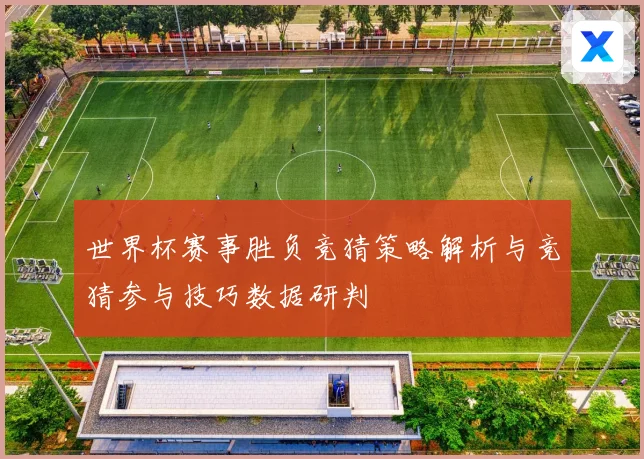 世界杯赛事胜负竞猜策略解析与竞猜参与技巧数据研判