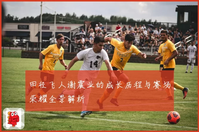 田径飞人谢震业的成长历程与赛场荣耀全景解析
